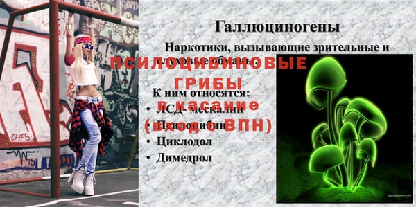 скорость Приозерск