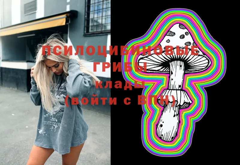 Псилоцибиновые грибы MAGIC MUSHROOMS Великий Устюг