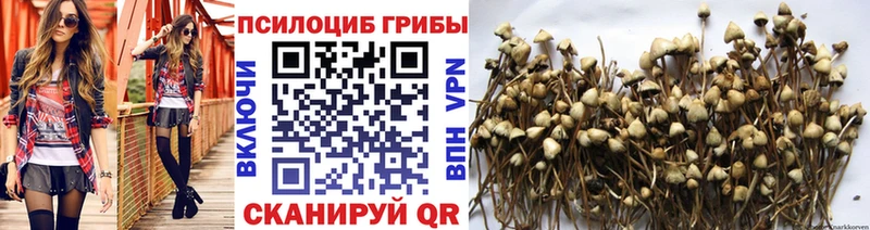 Галлюциногенные грибы MAGIC MUSHROOMS  Великий Устюг 