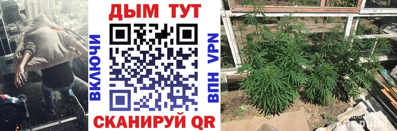 Канабис конопля  Великий Устюг 