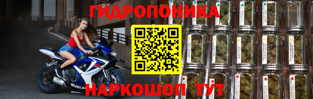 Шишки марихуана AK-47  Канабис семена  Вход с VPN  Великий Устюг  Марихуана Bruce Banner  Каннабис ГИДРОПОН 